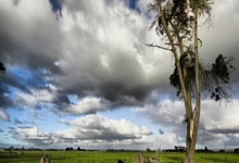 慕尼(ní)黑有意(yì)重返欧冠决赛舞台：安聯(lián)球(qiú)场的申办背后是怎(zěn)样的故(gù)事(shì)？