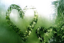 今晨欧冠联賽(sài)上演进球盛宴(yàn)