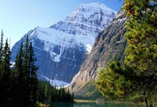 欧冠联赛上演進(jìn)球(qiú)盛宴(yàn)